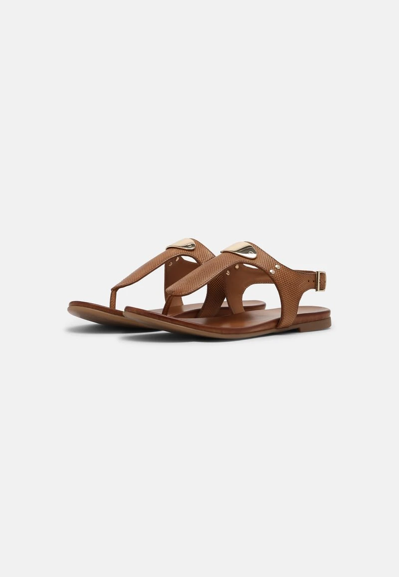 Anna Field Sandalias De Dedo - Cognac, Mujer 5 Anna Field Sandalias De Dedo - Cognac, Mujer - Imagen 3