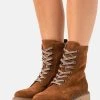 Anna Field LEATHER - Botines Con Cordones - Brown, Mujer -Anna Field Moda 2270e2d9a1b941a5a0a92294a062a3ef