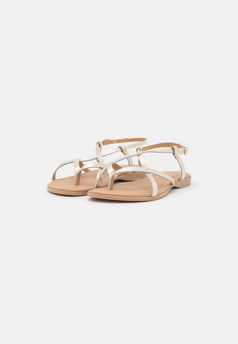 Anna Field LEATHER - Sandalias De Dedo - Gold, Mujer 5 Anna Field LEATHER - Sandalias De Dedo - Gold, Mujer - Imagen 3